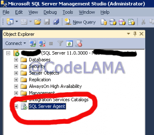 Read more about the article Sql Server 2012 Otomatik Yedekleme